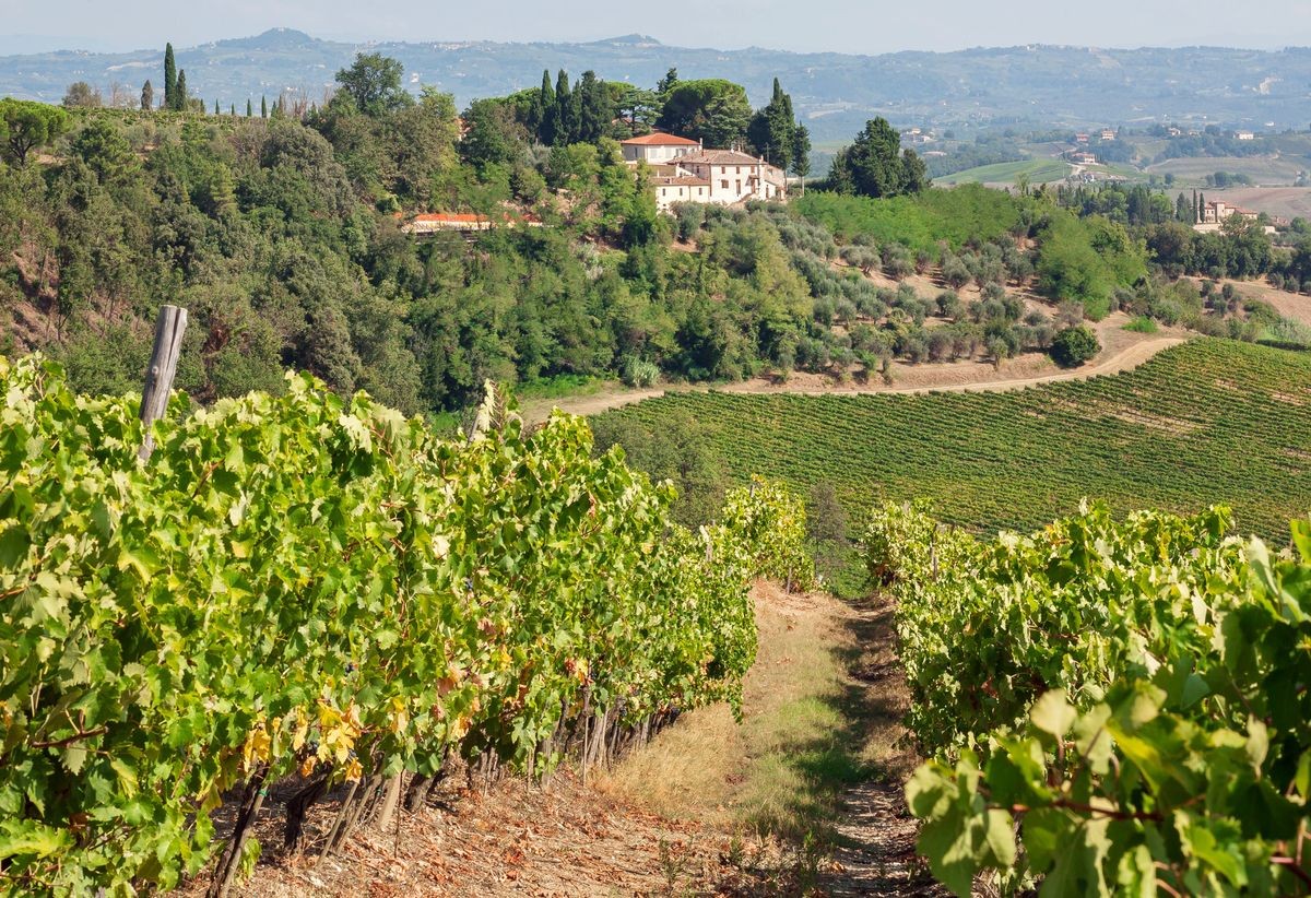 Beautiful landscape of Tuscany with village houses over vineyard. Green meadow, grape vines of countryside in sunny Italy